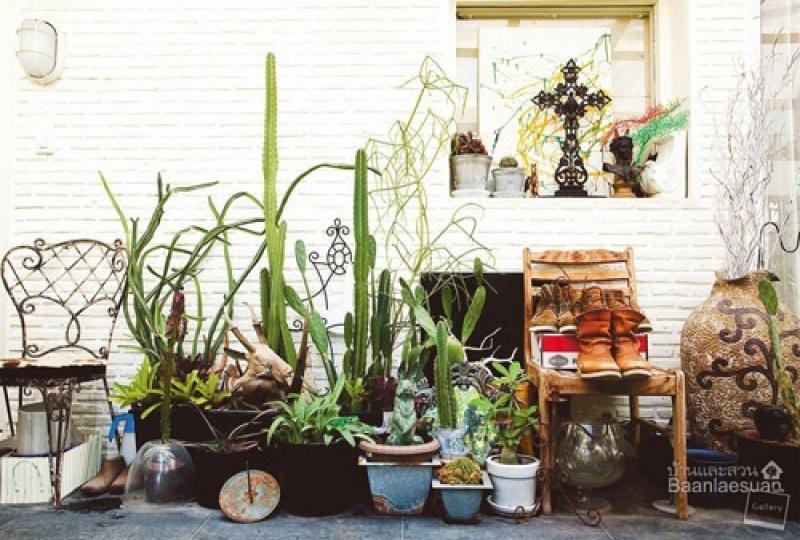 ไอเดียจัดสวนกระถางยอดนิยม