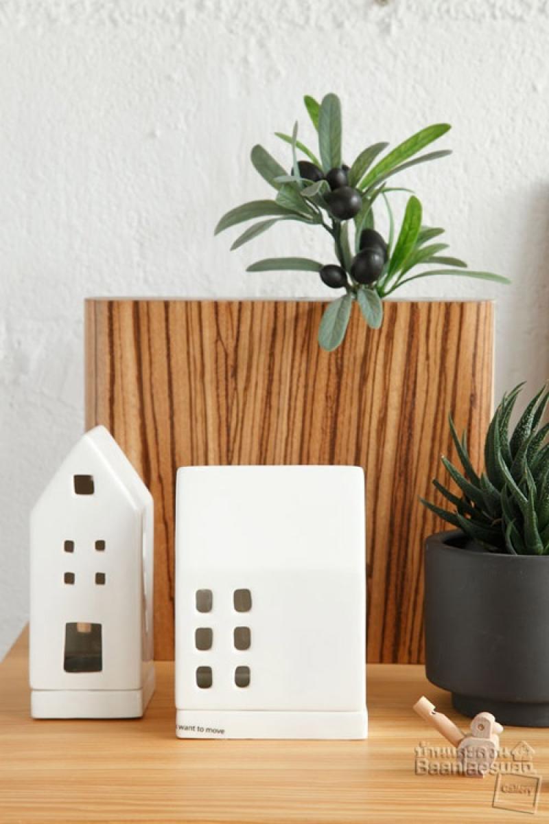 ไอเดียจัดสวนกระถางยอดนิยม