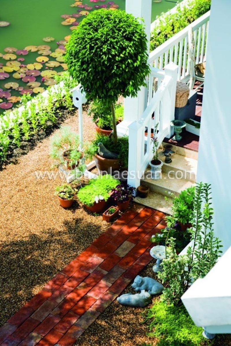 ไอเดียจัดสวนกระถางยอดนิยม