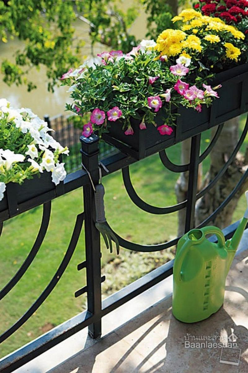 ไอเดียจัดสวนกระถางยอดนิยม