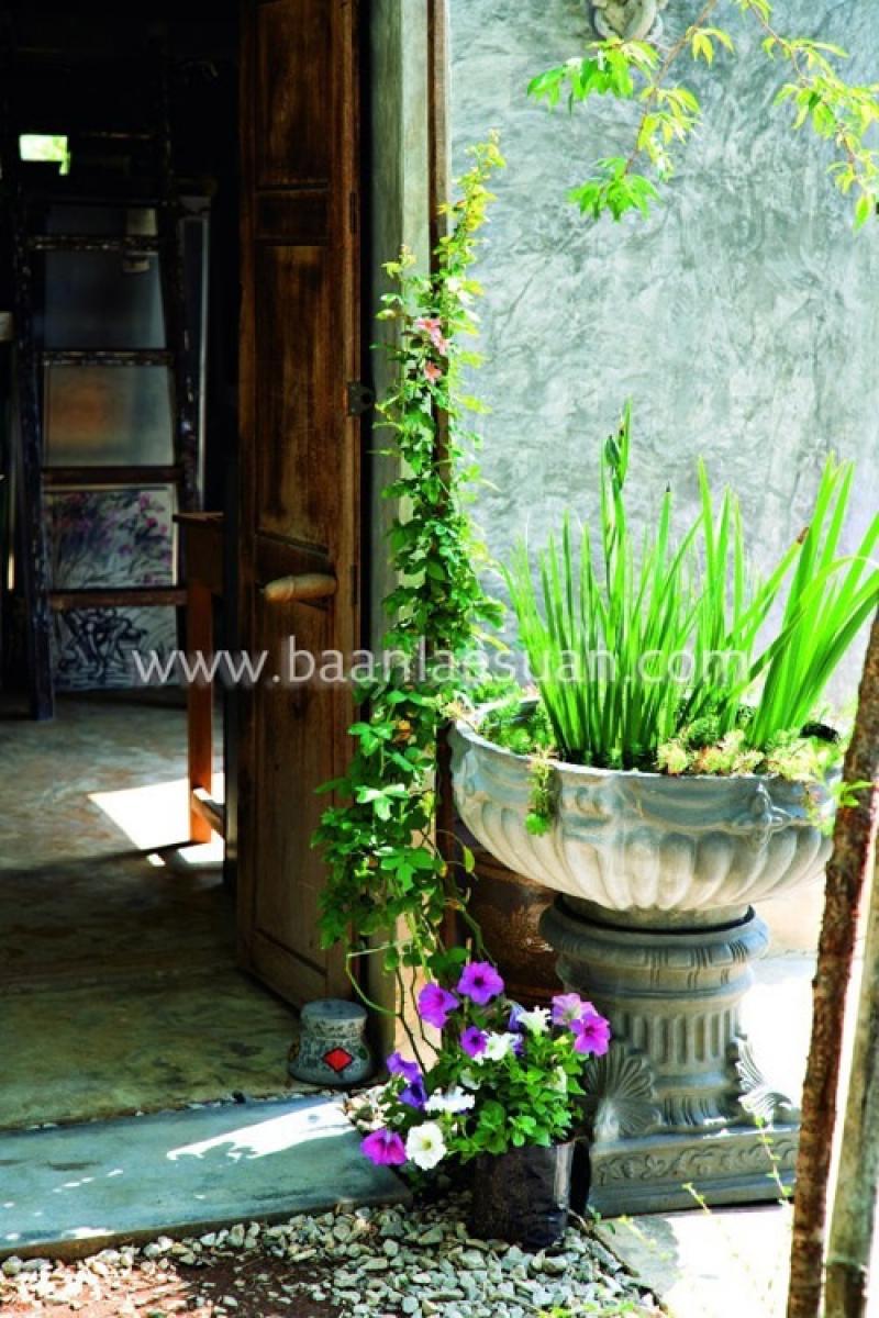 ไอเดียจัดสวนกระถางยอดนิยม