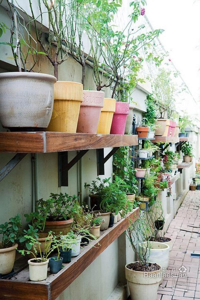 ไอเดียจัดสวนกระถางยอดนิยม