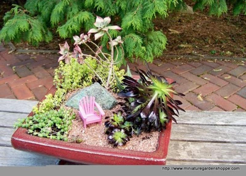 สวนถาด สวนเล็กๆหลายสไตล์