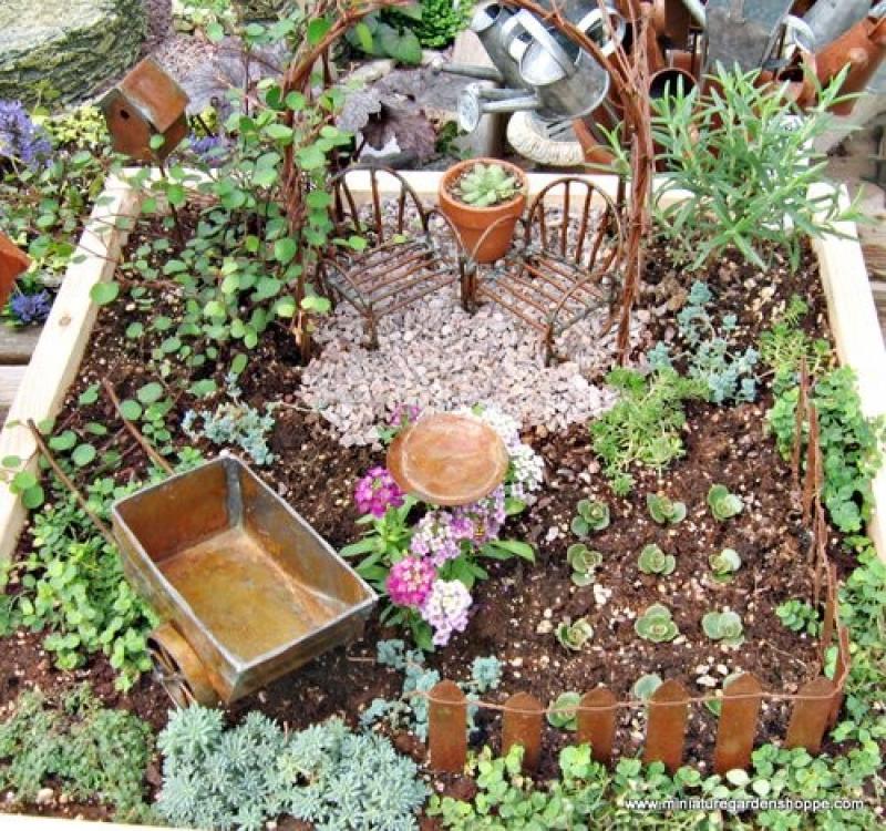 สวนถาด สวนเล็กๆหลายสไตล์