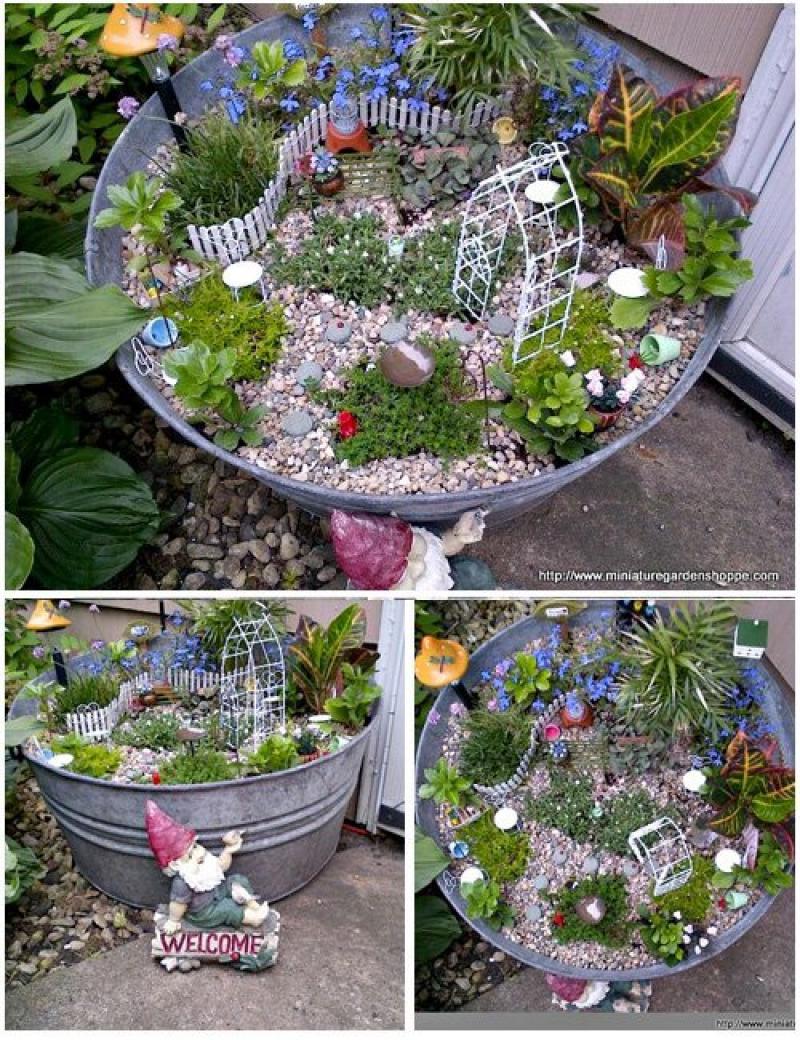 สวนถาด สวนเล็กๆหลายสไตล์