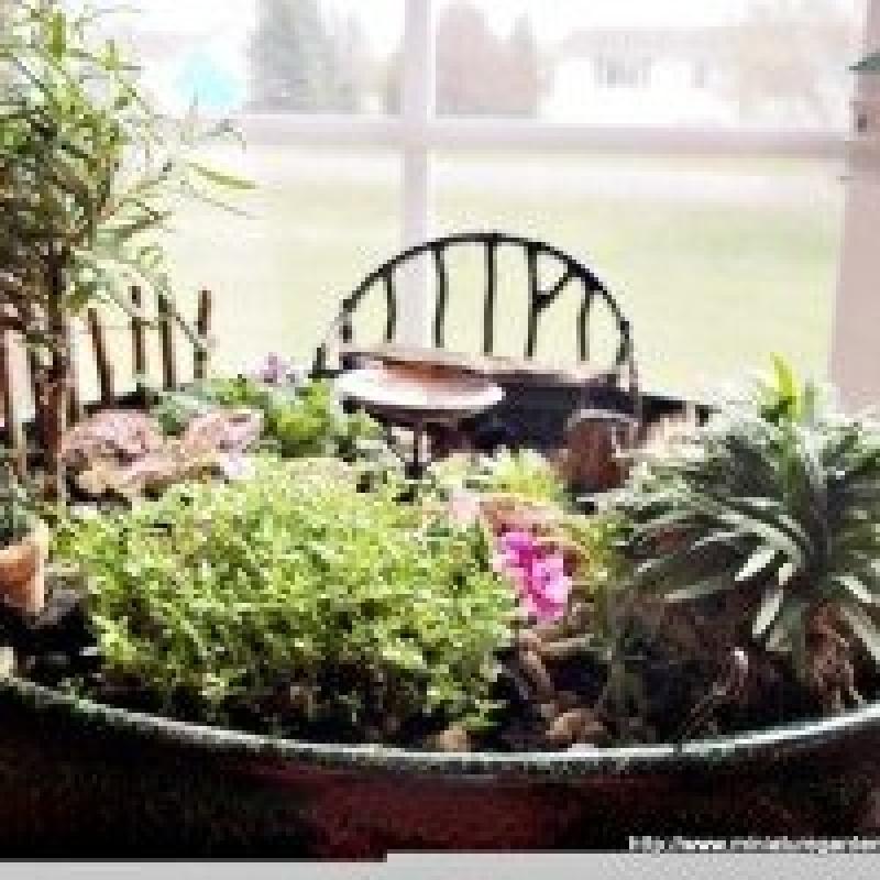 สวนถาด สวนเล็กๆหลายสไตล์