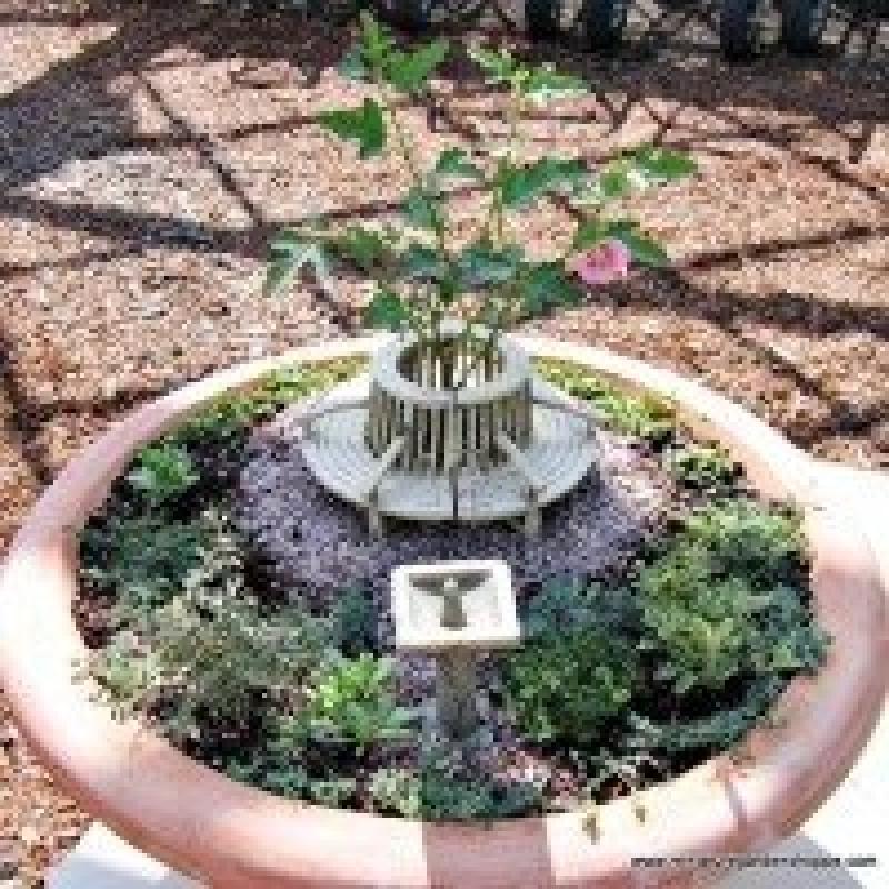 สวนถาด สวนเล็กๆหลายสไตล์