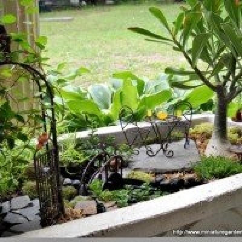 สวนถาด สวนเล็กๆหลายสไตล์