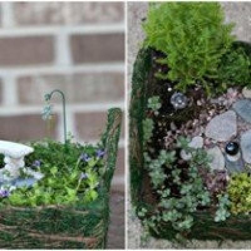 สวนถาด สวนเล็กๆหลายสไตล์