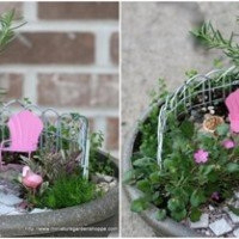 สวนถาด สวนเล็กๆหลายสไตล์