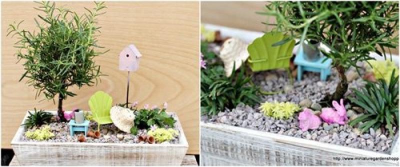 สวนถาด สวนเล็กๆหลายสไตล์