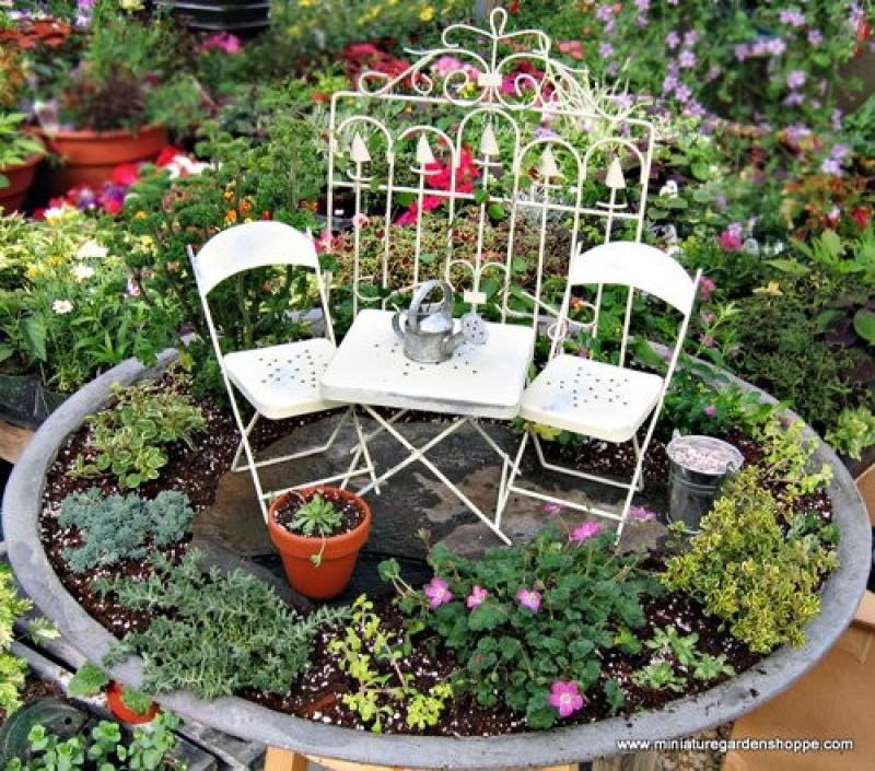 สวนถาด สวนเล็กๆหลายสไตล์