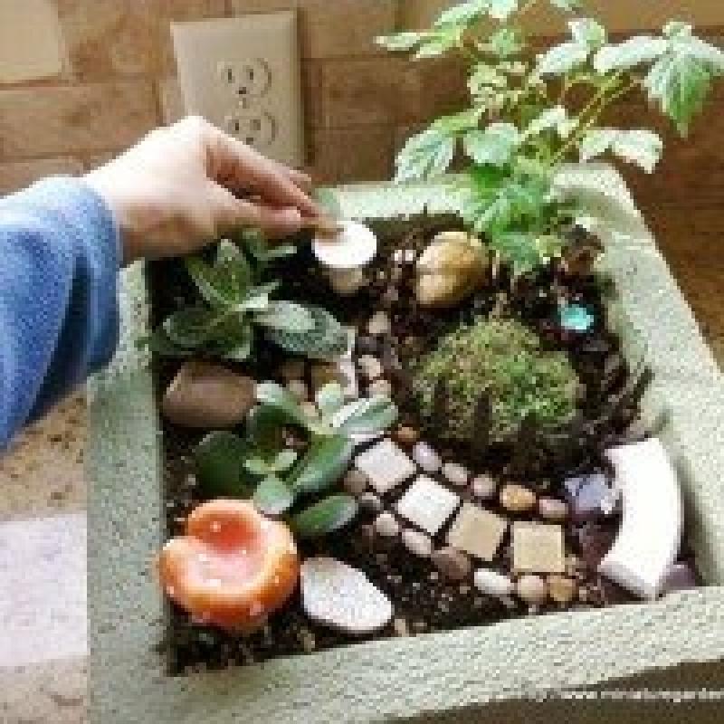 สวนถาด สวนเล็กๆหลายสไตล์