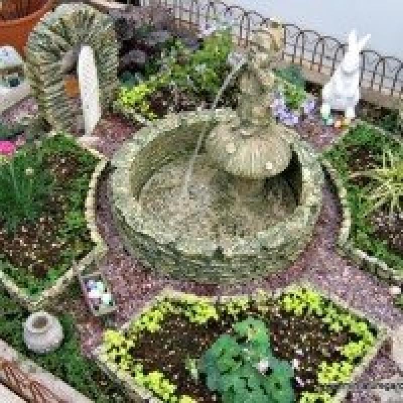 สวนถาด สวนเล็กๆหลายสไตล์