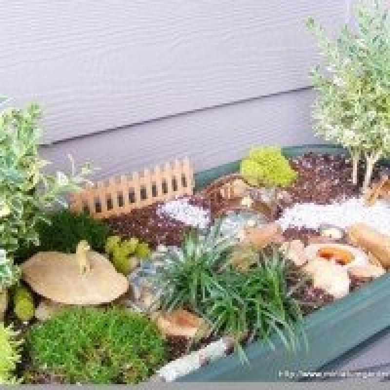 สวนถาด สวนเล็กๆหลายสไตล์