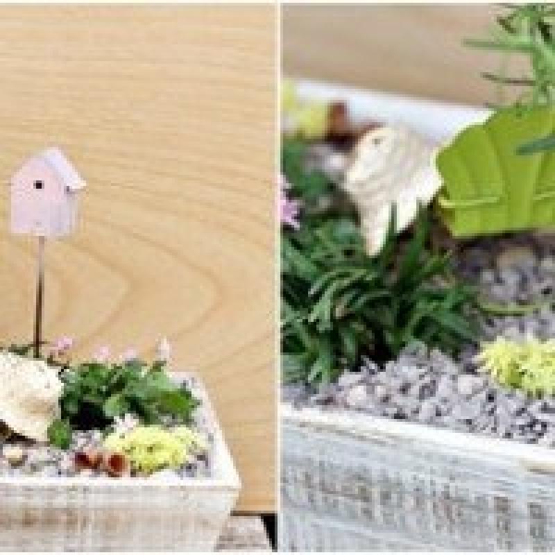 สวนถาด สวนเล็กๆหลายสไตล์