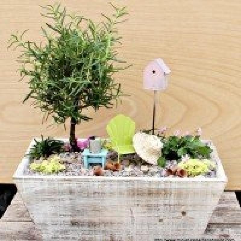 สวนถาด สวนเล็กๆหลายสไตล์