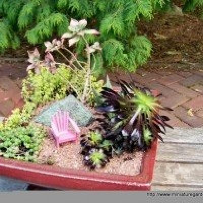 สวนถาด สวนเล็กๆหลายสไตล์