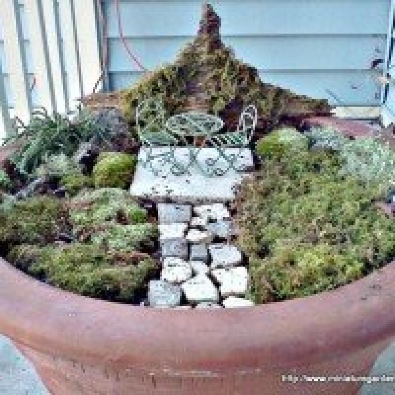 สวนถาด สวนเล็กๆหลายสไตล์