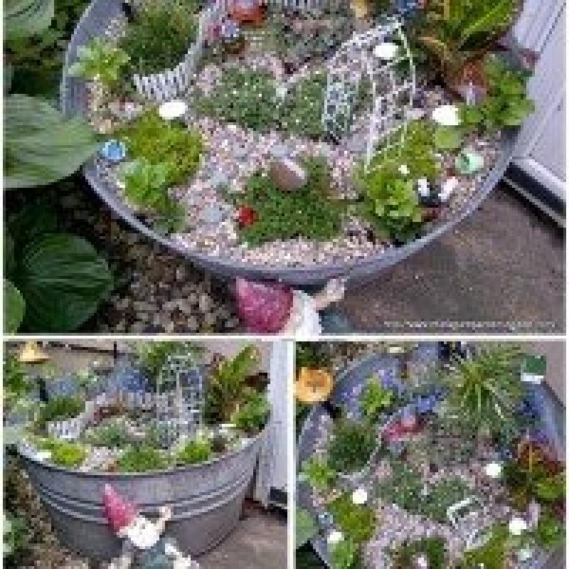 สวนถาด สวนเล็กๆหลายสไตล์