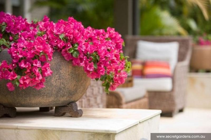 ดีไซน์สวนสวยให้เป็นสวนรีสอร์ท