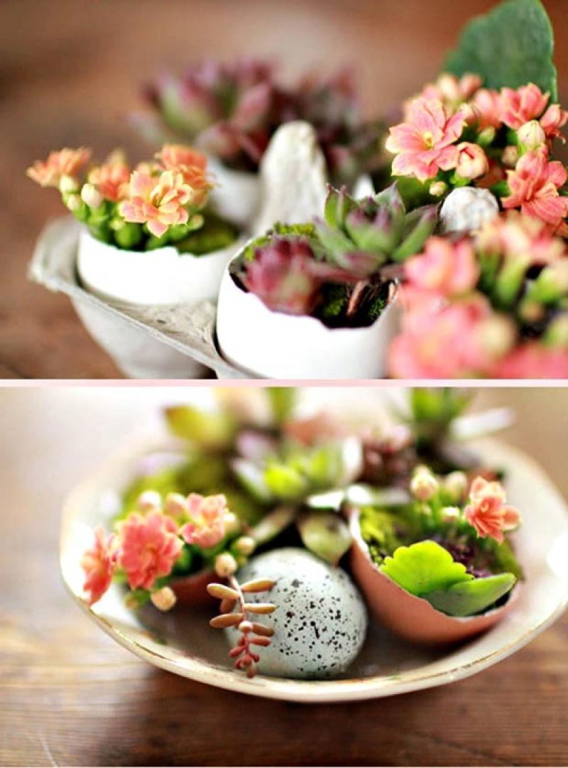 สุดยอดไอเดีย..สวนจิ๋วในเปลือกไข่