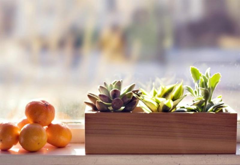 สวนจิ๋ว ไอเดียเก๋ไม่ซ้าใคร