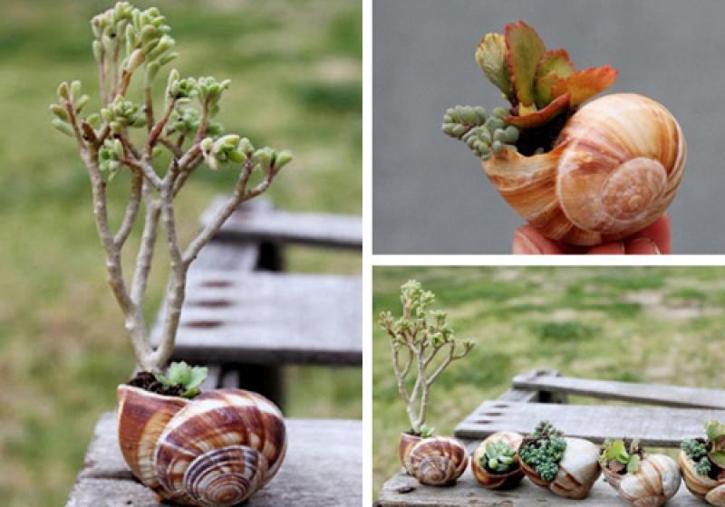 สวนจิ๋ว ไอเดียเก๋ไม่ซ้าใคร