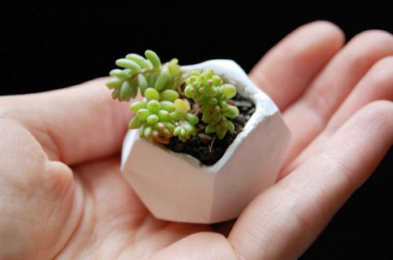 สวนจิ๋ว ไอเดียเก๋ไม่ซ้าใคร