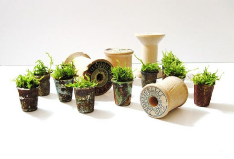 สวนจิ๋ว ไอเดียเก๋ไม่ซ้าใคร