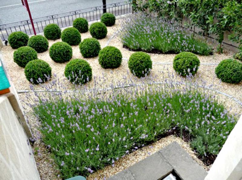 จัดสวนสวย ด้วยไม้พุ่ม