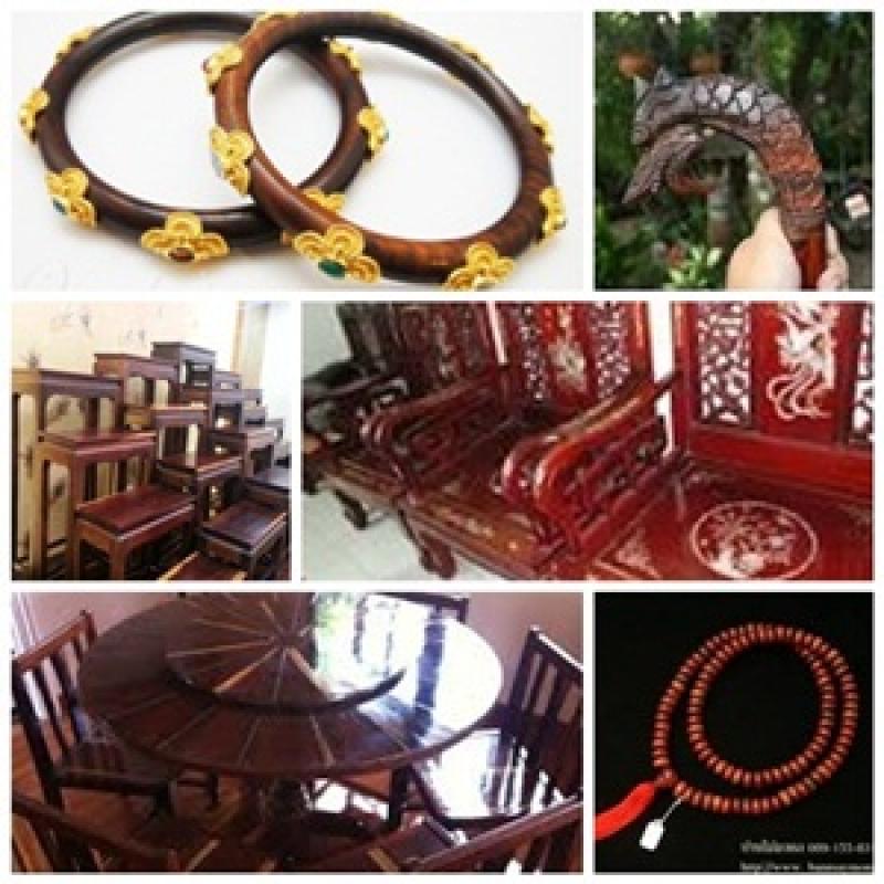 พะยูง หรือ พยุง ไม้ที่มีราคาแพงแหล่งสุดท้ายของโลก