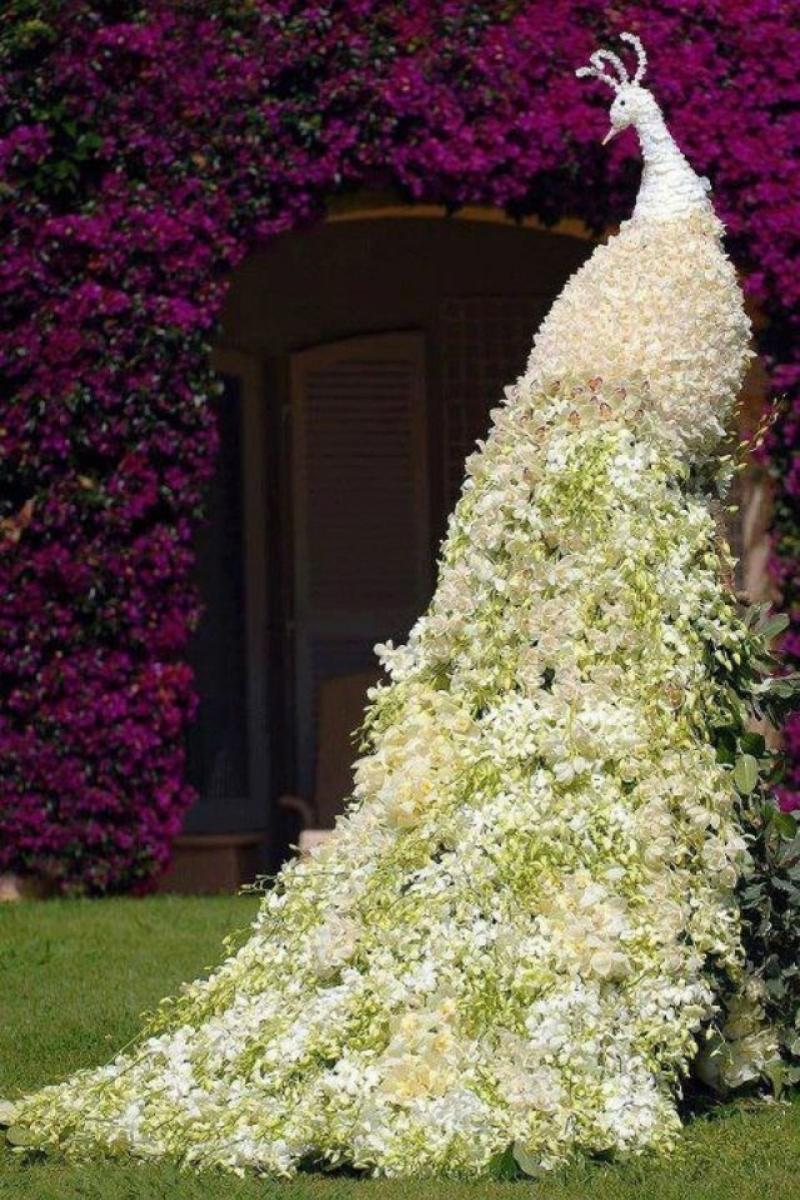 สวนดอกไม้รูปนกยูงสุดอลังการ