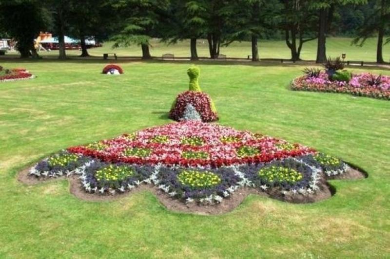 สวนดอกไม้รูปนกยูงสุดอลังการ