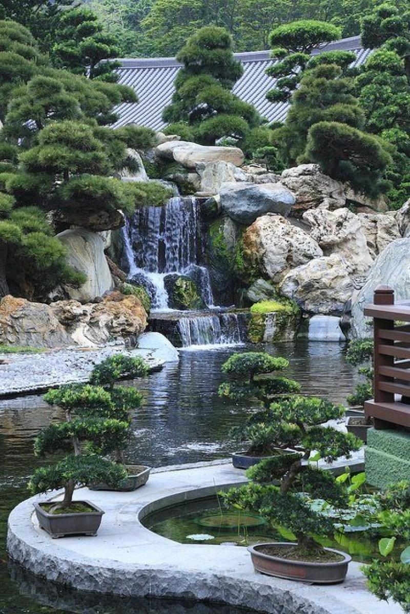 สวนสวนสไตล์ญี่ปุ่น