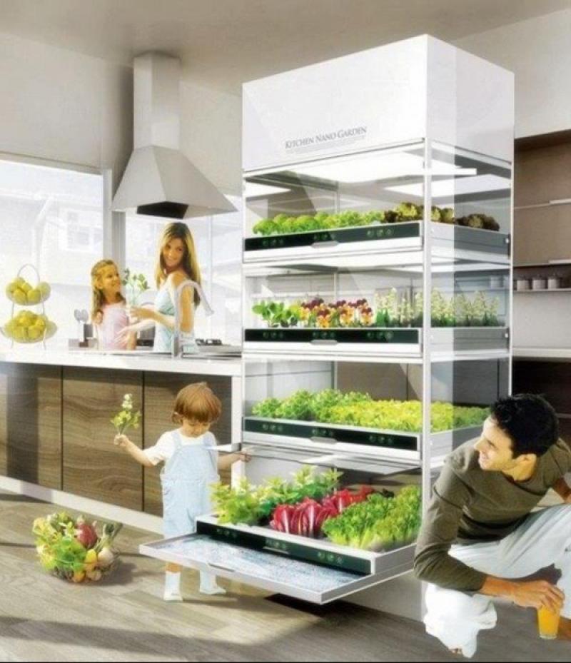 10 ไอเดีย จัดสวนในบ้านเพื่อคนรักธรรมชาติ