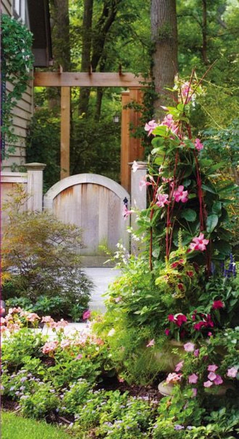 สวนสวย ด้วยดอกไม้หลากสีสัน