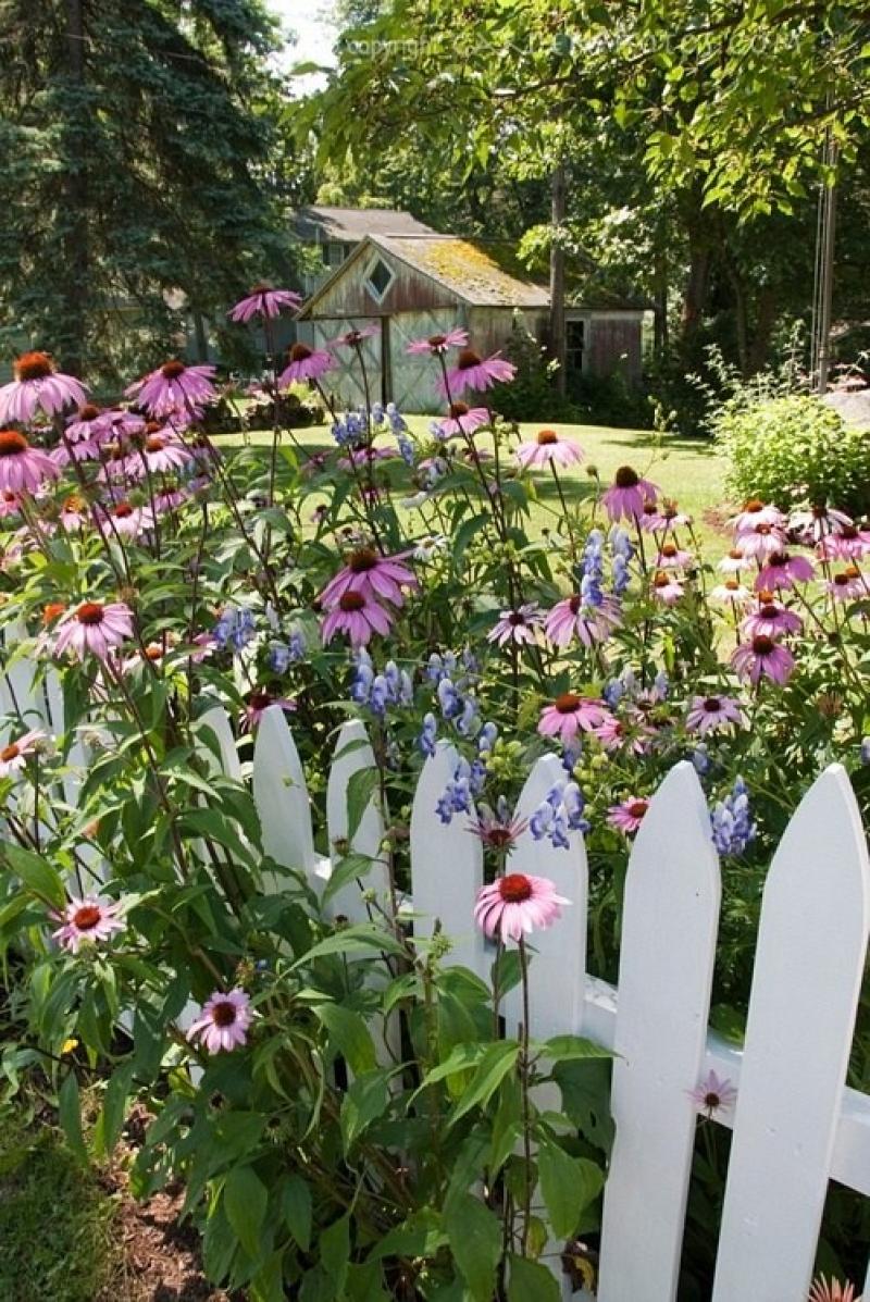 สวนสวย ด้วยดอกไม้หลากสีสัน