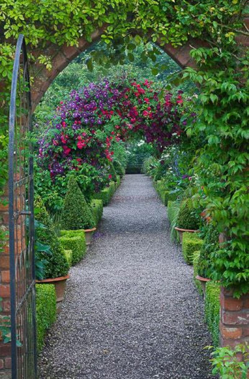 สวนสวย ด้วยดอกไม้หลากสีสัน