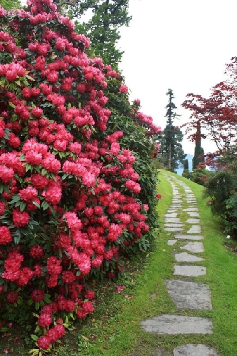 หลากหลายไอเดียการจัดสวนขนาดใหญ่ สุดอลังการ