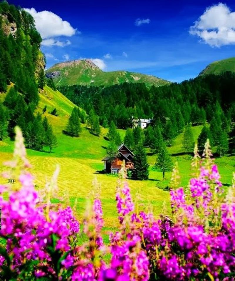 หลากหลายไอเดียการจัดสวนขนาดใหญ่ สุดอลังการ