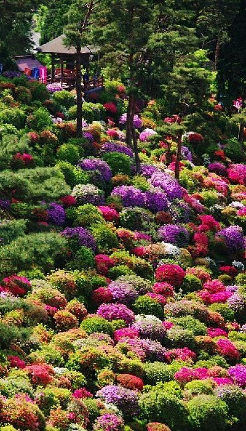 หลากหลายไอเดียการจัดสวนขนาดใหญ่ สุดอลังการ