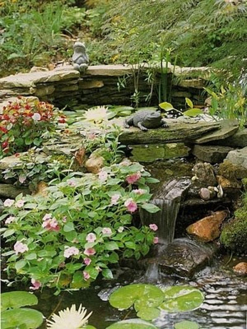 ออกแบบสวนให้สดชื่น ด้วยสวนน้ำและน้ำตก