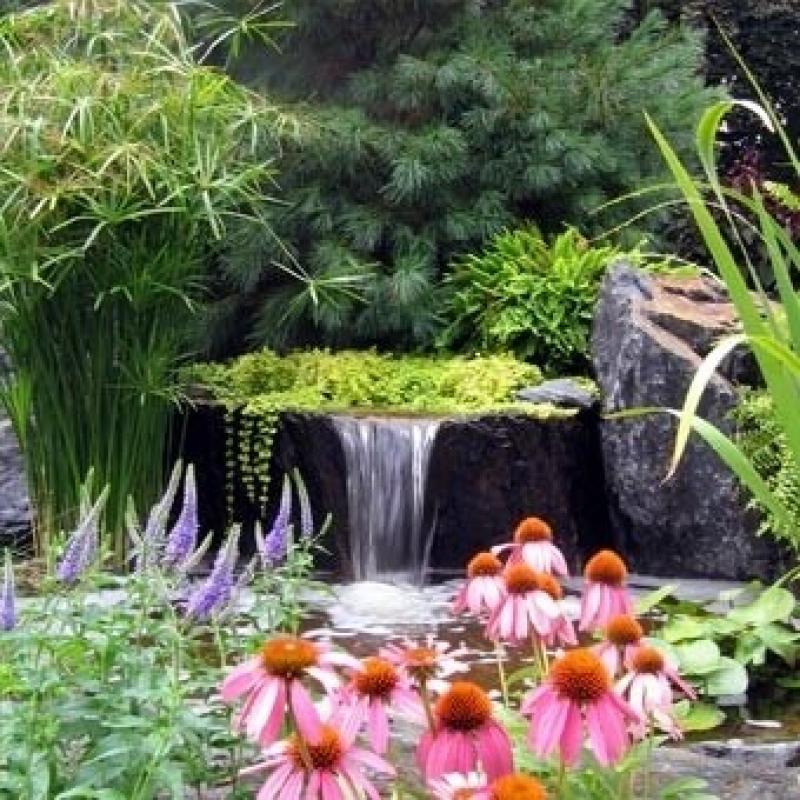 ออกแบบสวนให้สดชื่น ด้วยสวนน้ำและน้ำตก