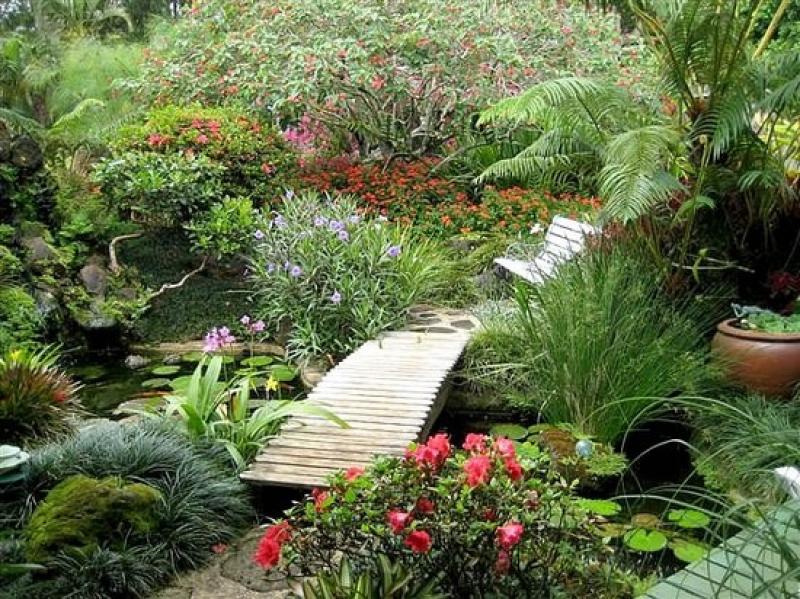 ออกแบบสวนให้สดชื่น ด้วยสวนน้ำและน้ำตก