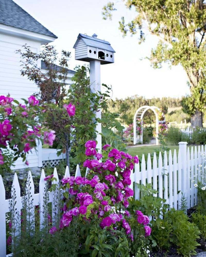 ออกแบบสวนสวย สำหรับคนชอบสีม่วง