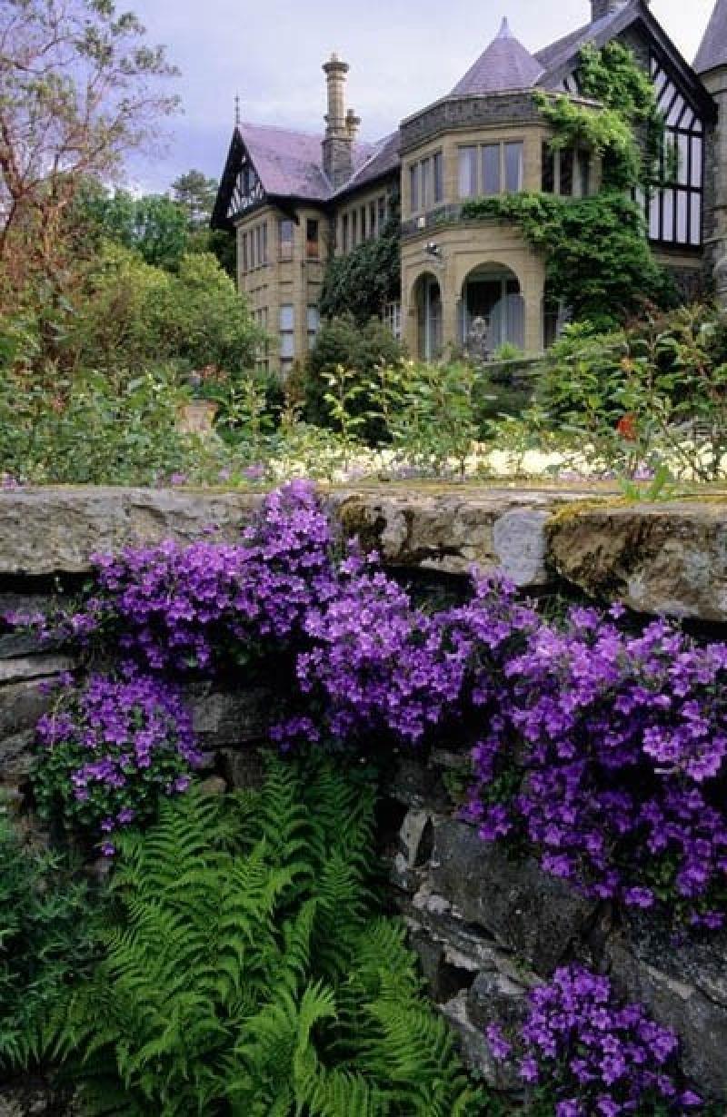 ออกแบบสวนสวย สำหรับคนชอบสีม่วง