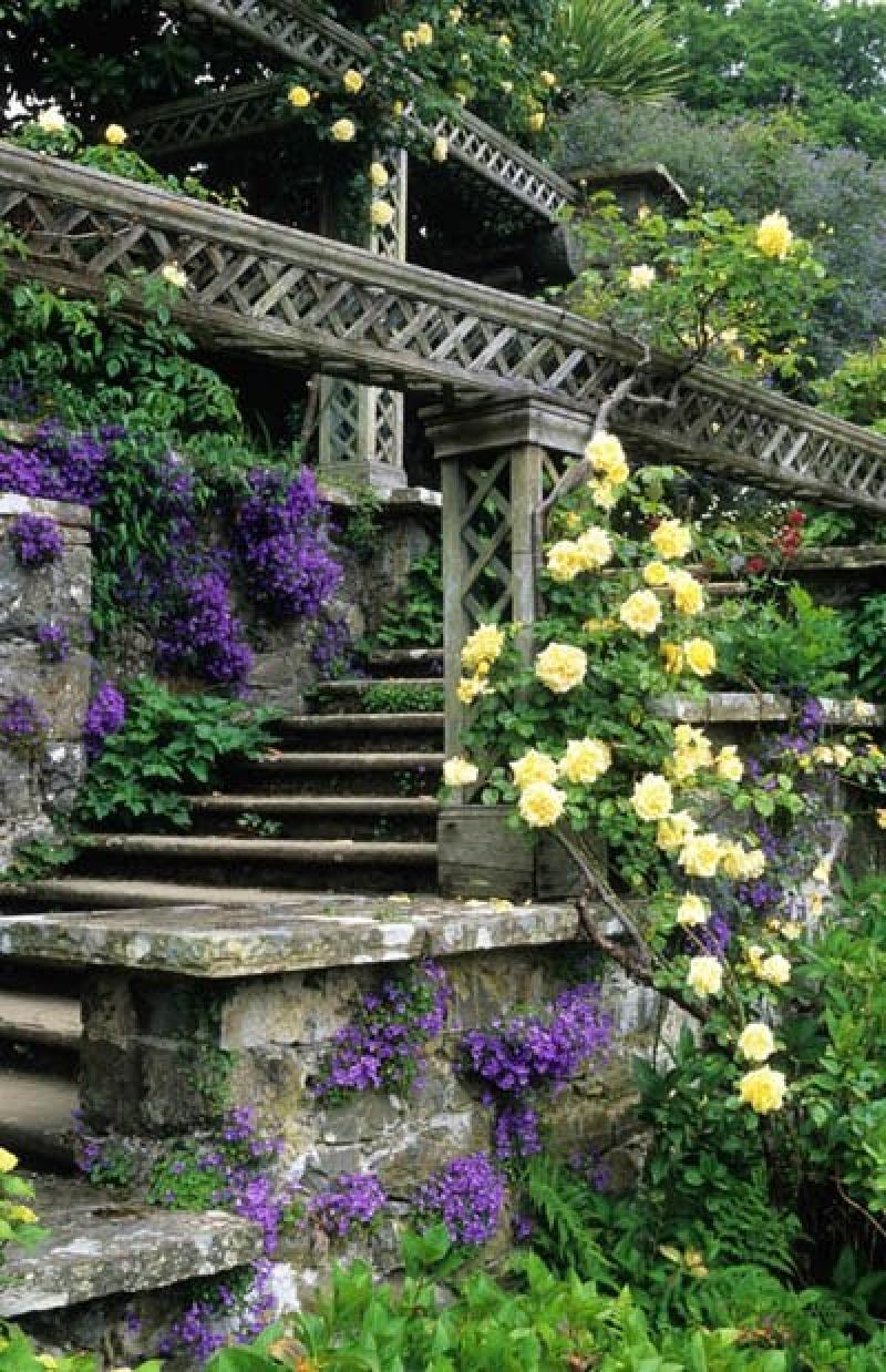 ออกแบบสวนสวย สำหรับคนชอบสีม่วง