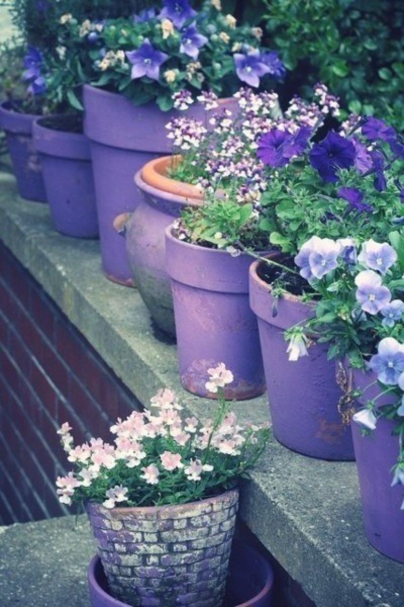 ออกแบบสวนสวย สำหรับคนชอบสีม่วง