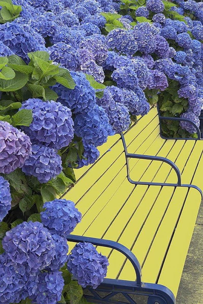 ออกแบบสวนสวย สำหรับคนชอบสีม่วง